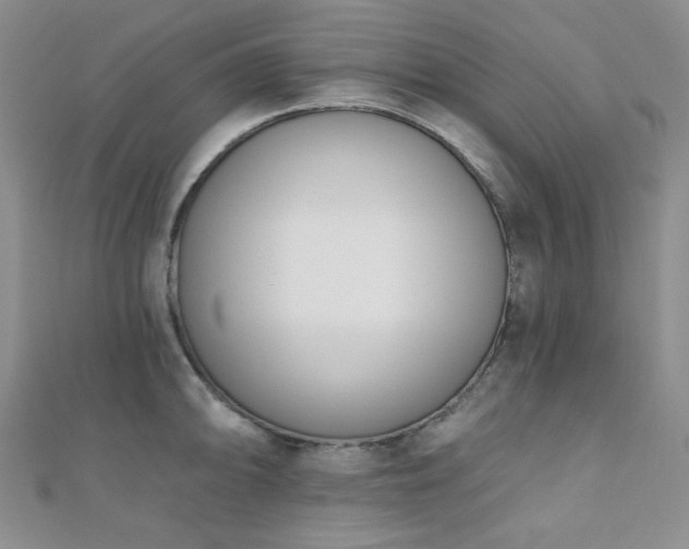 X0000110741094200906151058