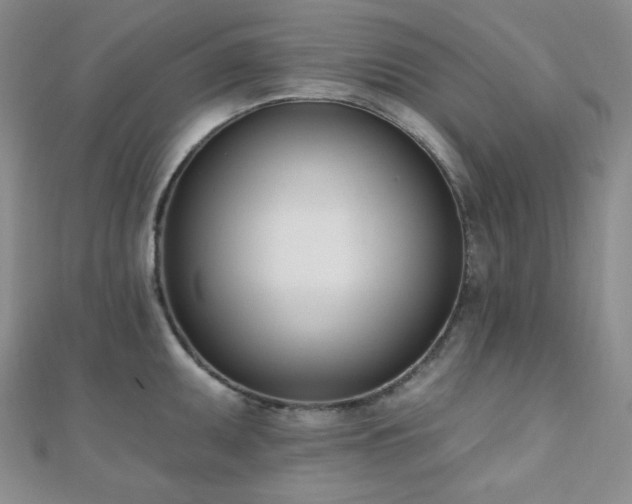 X0000110741095200906151058