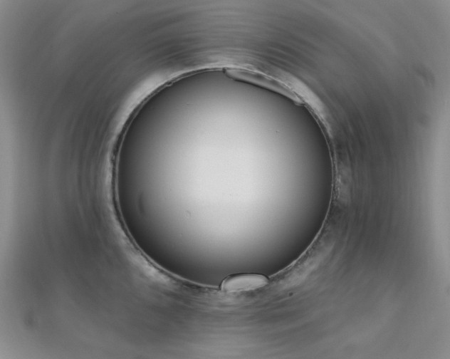 X0000110741096200906151058