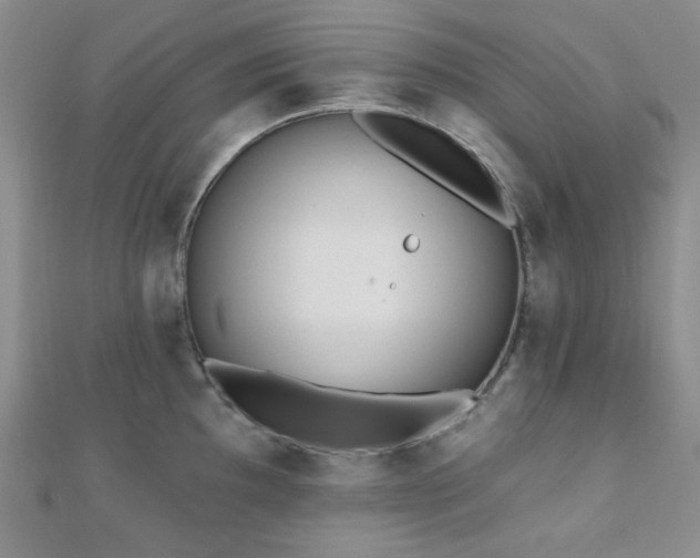 X0000110741097200906151058