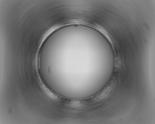 X0000110741098200906151058