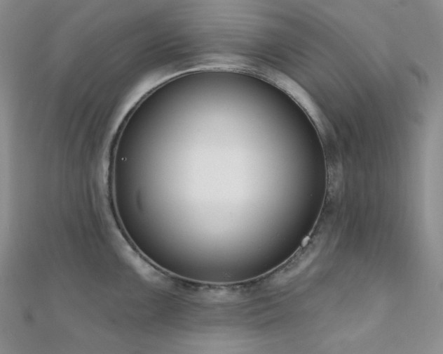 X0000110741099200906151058