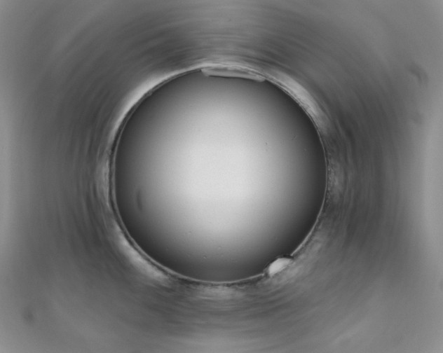 X0000110741100200906151058