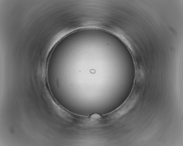 X0000110741101200906151058