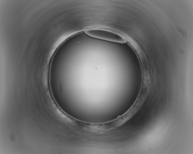 X0000110741102200906151058