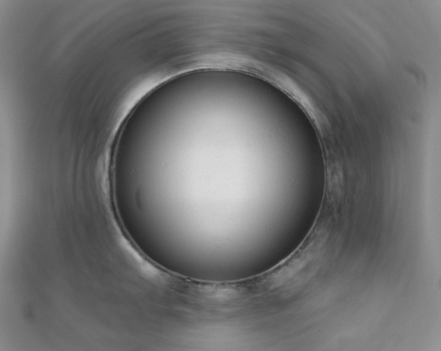 X0000110741103200906151058