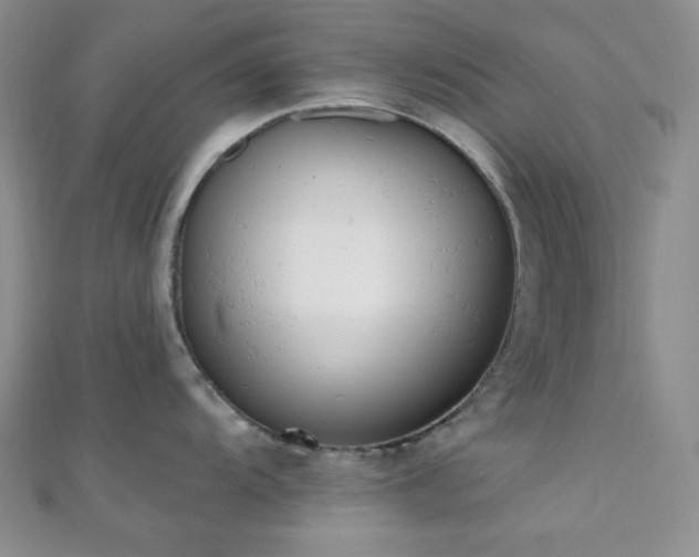 X0000110741104200906151058