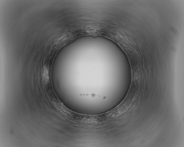 X0000110741106200906151058