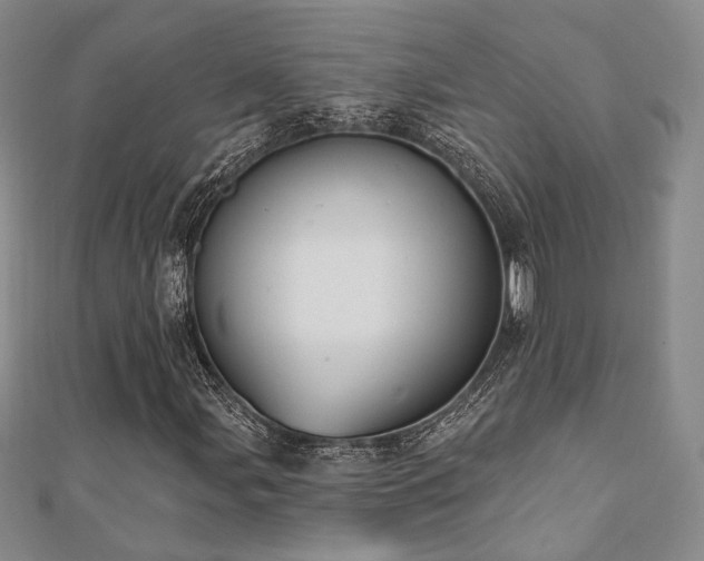 X0000110741107200906151058