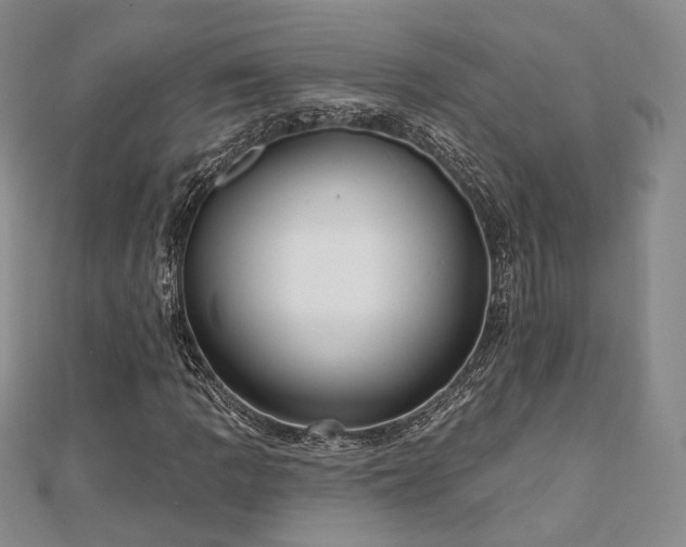 X0000110741109200906151058