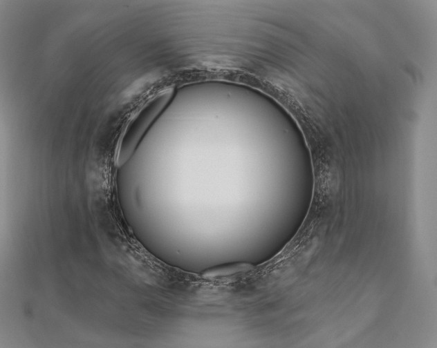 X0000110741110200906151058