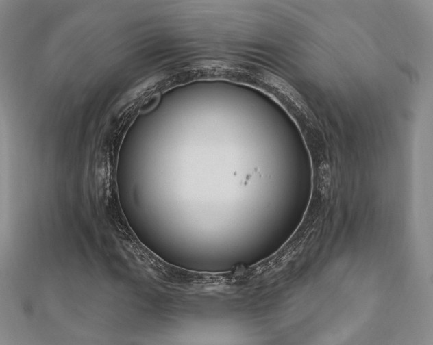 X0000110741111200906151058