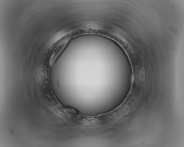 X0000110741112200906151058