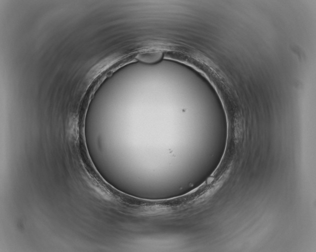 X0000110741113200906151058