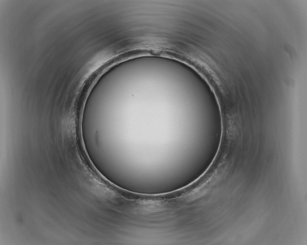 X0000110741114200906151058