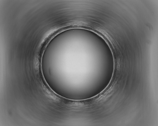 X0000110741115200906151058