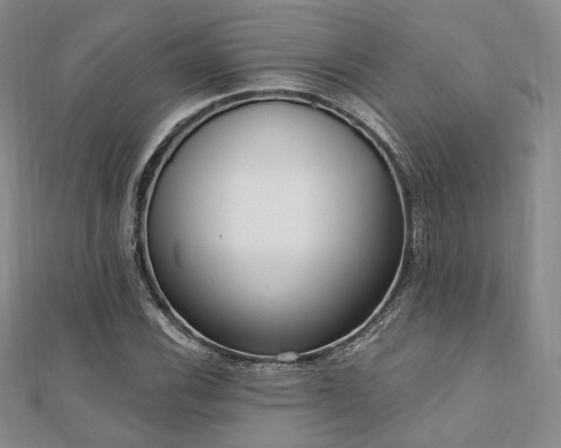 X0000110741116200906151058