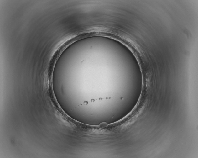X0000110741117200906151058