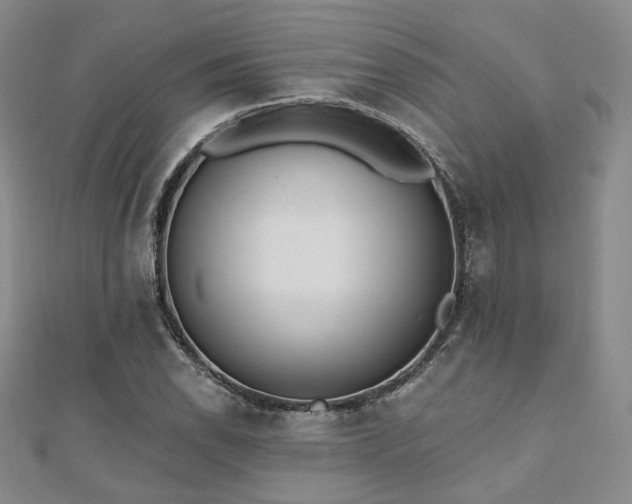 X0000110741118200906151058