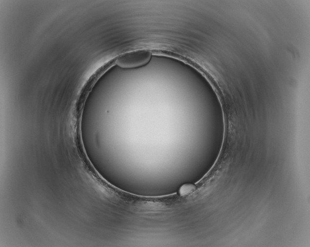 X0000110741119200906151058