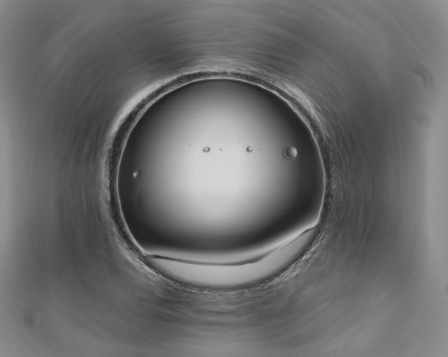 X0000110741120200906151058