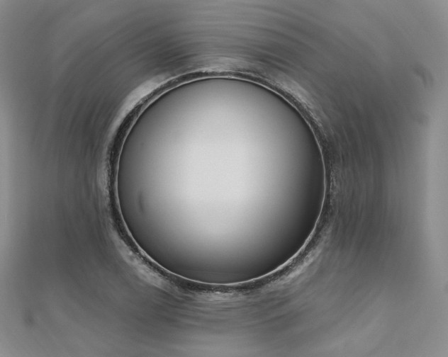 X0000110741122200906151058