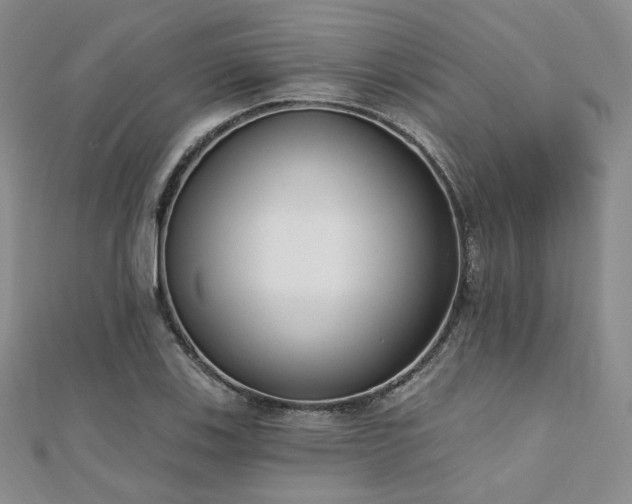 X0000110741123200906151058