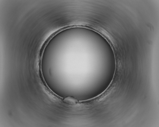 X0000110741124200906151058