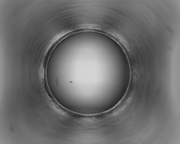 X0000110741125200906151058