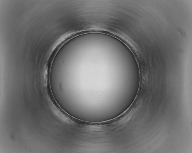 X0000110741126200906151058