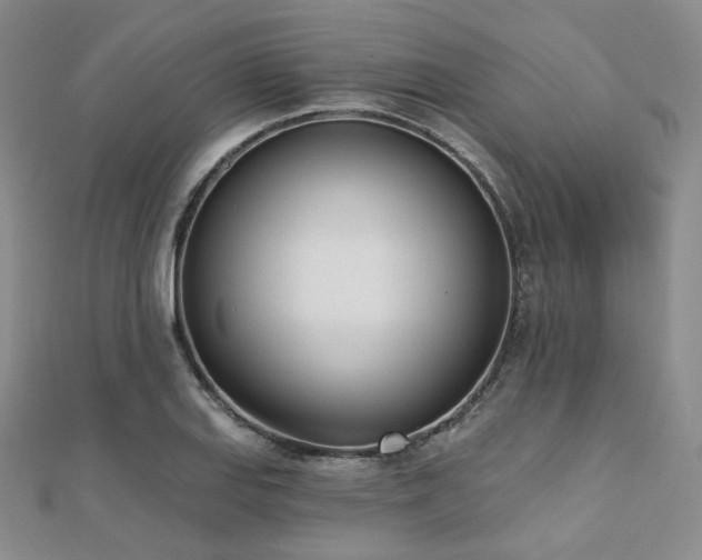 X0000110741127200906151058
