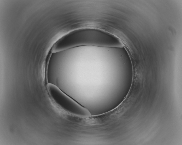X0000110741128200906151058