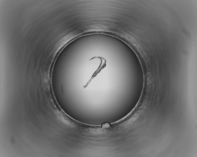 X0000110741129200906151058
