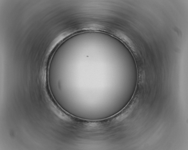 X0000110741130200906151058