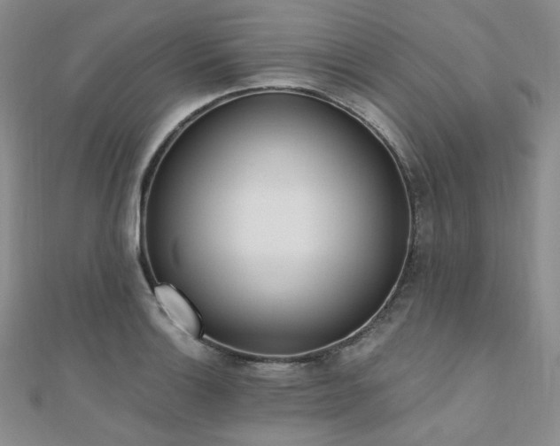 X0000110741132200906151058