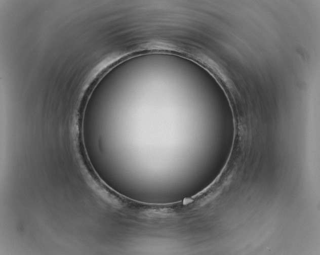 X0000110741133200906151058