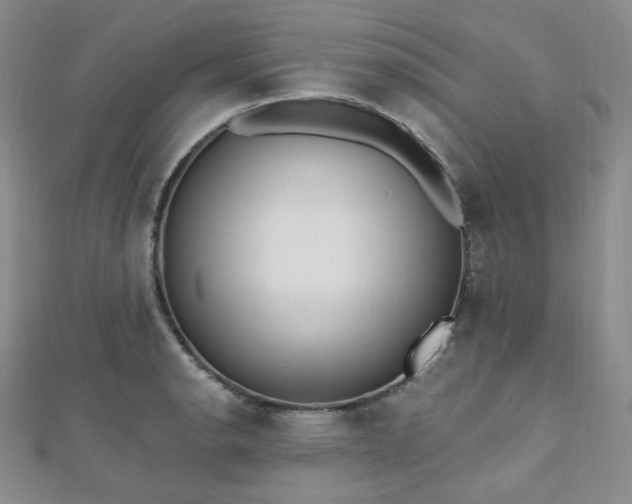 X0000110741134200906151058