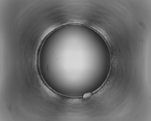 X0000110741135200906151058