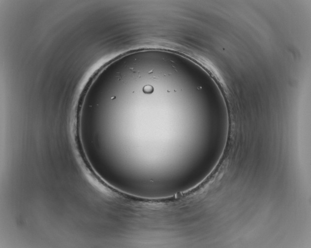 X0000110741136200906151058