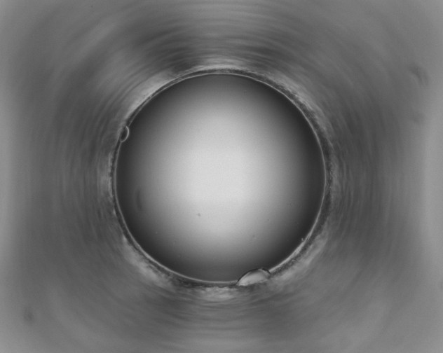 X0000110741137200906151058