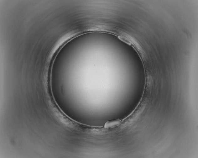 X0000110741138200906151058