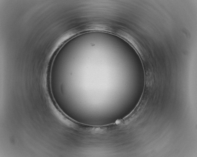 X0000110741139200906151058
