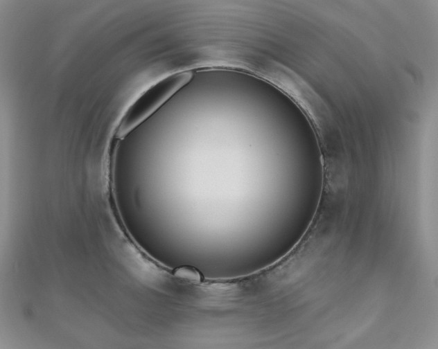 X0000110741140200906151058