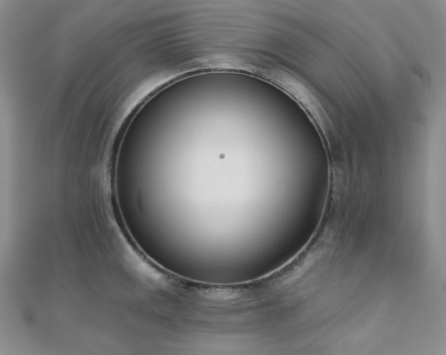 X0000110741141200906151058