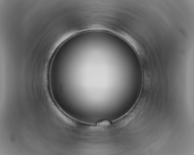 X0000110741142200906151058