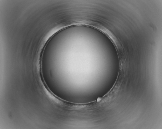X0000110741143200906151058