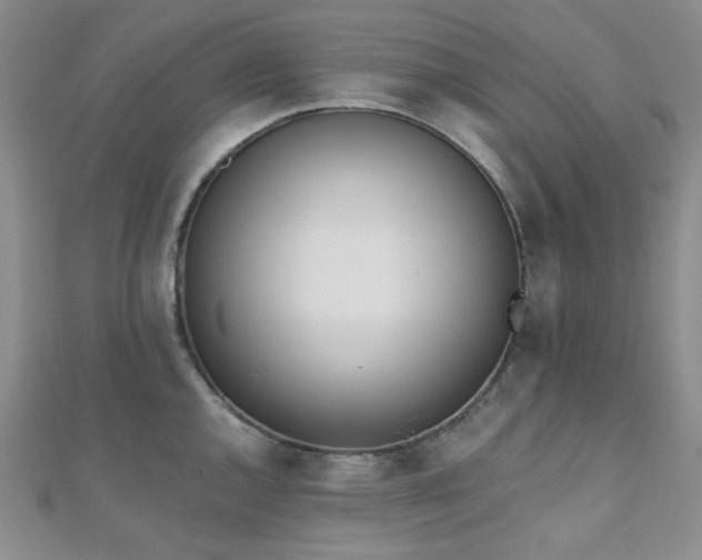X0000110741144200906151058