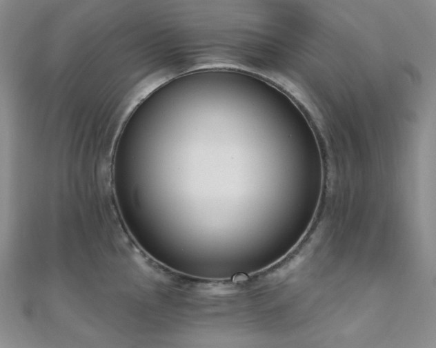 X0000110741145200906151058