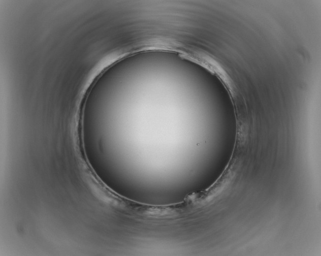 X0000110741146200906151058