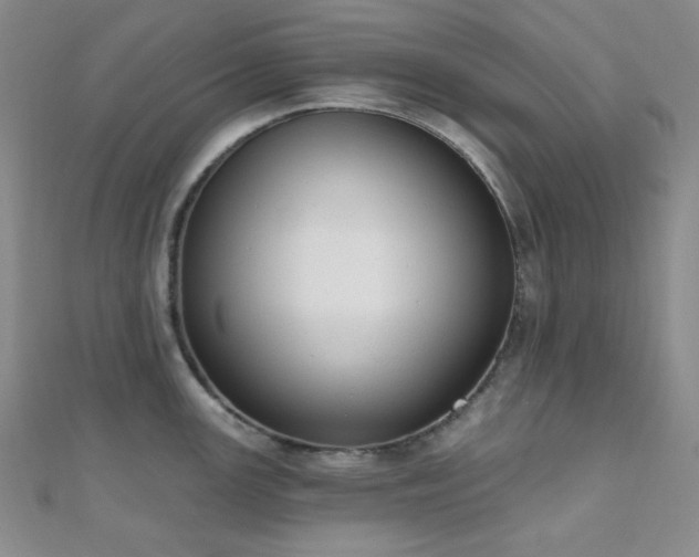 X0000110741147200906151058